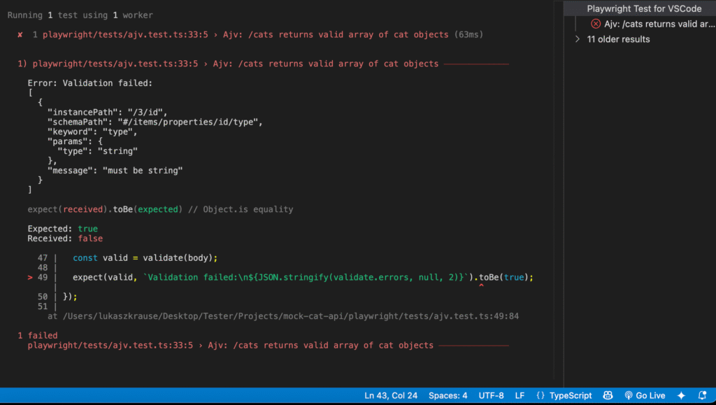Screenshot of a Playwright test output displaying validation errors for API response validation using Ajv.